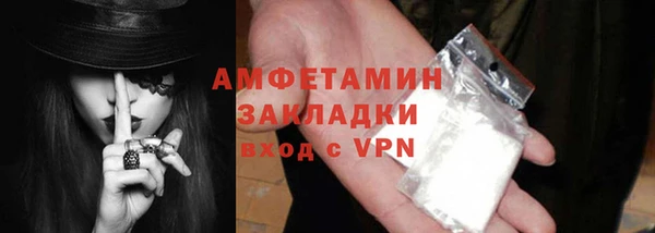 прущие грибы Балахна