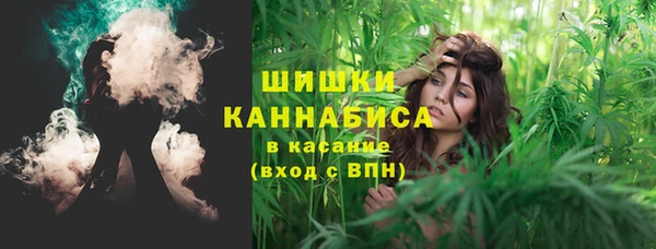 прущие грибы Балахна