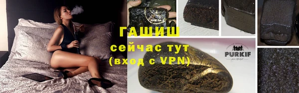 прущие грибы Балахна