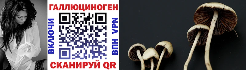 Галлюциногенные грибы мухоморы  цены   Ялуторовск 
